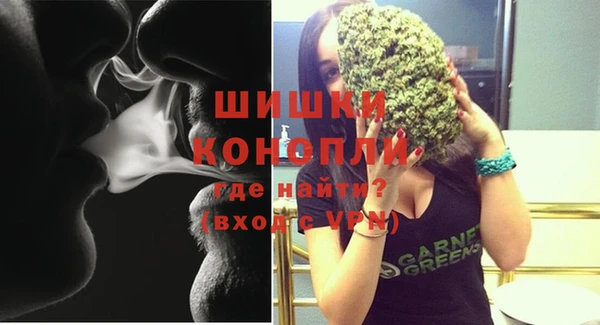 дмт Заводоуковск