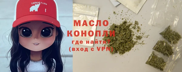 дмт Заводоуковск
