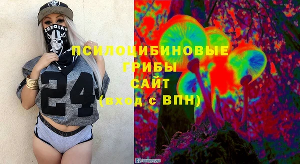 дмт Заводоуковск