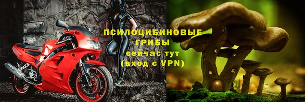дмт Заводоуковск