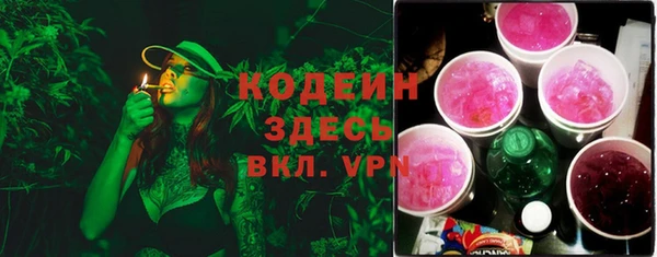 дмт Заводоуковск