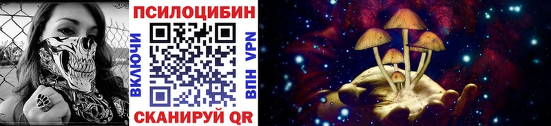 Псилоцибиновые грибы прущие грибы  Купить закладки  Советск 